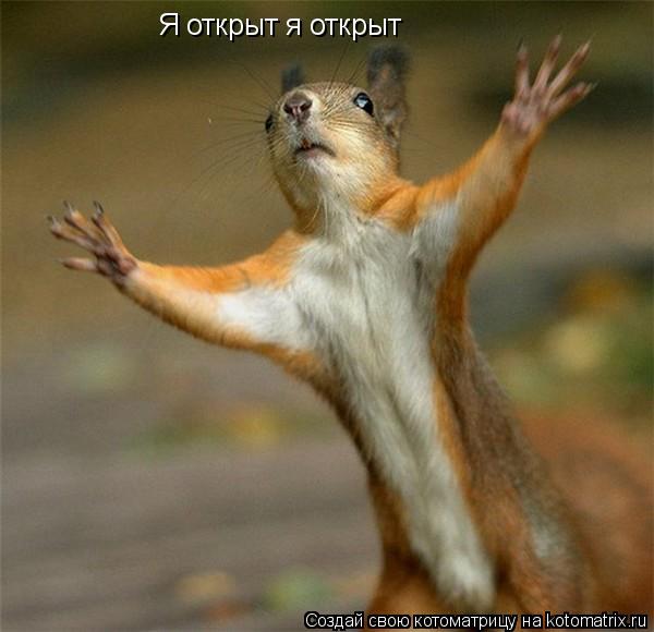Я открыт я открыт... Котоматрица: Я открыт я открыт
