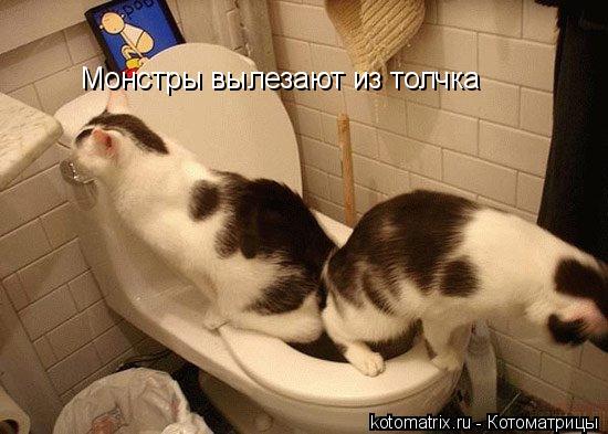 Монстры вылезают из толчка... Котоматрица: Монстры вылезают из толчка
