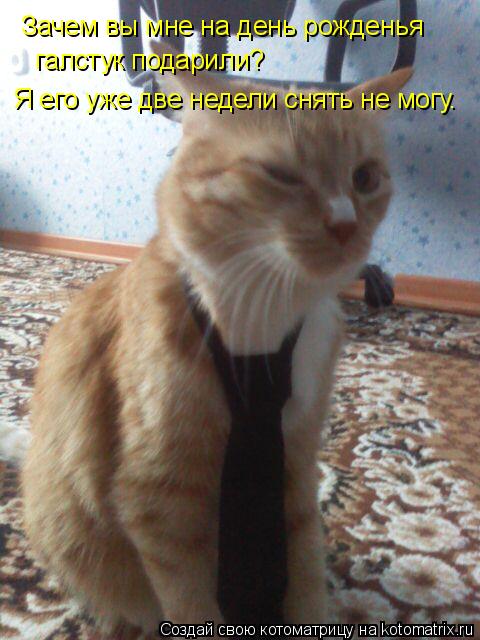 Зачем вы мне на день рожденья галстук подарили? Я его уже две недели снять не могу.... Котоматрица: Зачем вы мне на день рожденья галстук подарили? Я его уже две недели снять не могу.