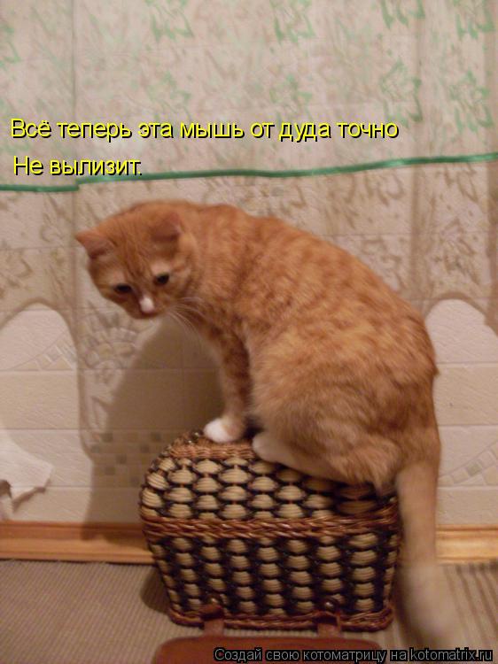 Всё теперь эта мышь от дуда точно Не вылизит.... Котоматрица: Всё теперь эта мышь от дуда точно Не вылизит.