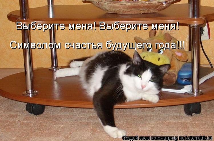 Выберите меня! Выберите меня! Символом счастья будущего года!!!... Котоматрица: Выберите меня! Выберите меня! Символом счастья будущего года!!!