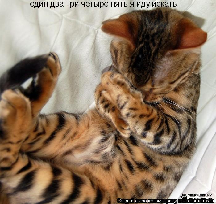 один два три четыре пять я иду искать... Котоматрица: один два три четыре пять я иду искать