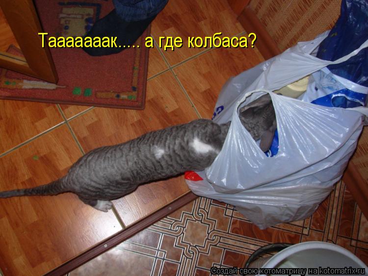 Тааааааак..... а где колбаса?... Котоматрица: Тааааааак..... а где колбаса?