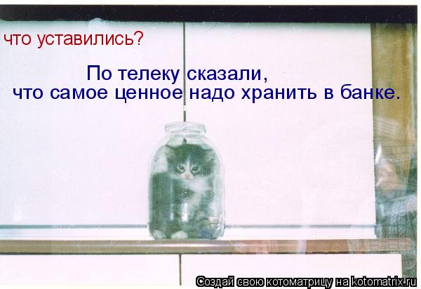 Котоматрица: что уставились? В наше время самое ценное надо хранить в банке. что уставились? По телеку сказали, что самое ценное надо хранить в банке.