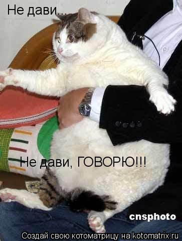Котоматрица: Не дави... Не дави, ГОВОРЮ!!!