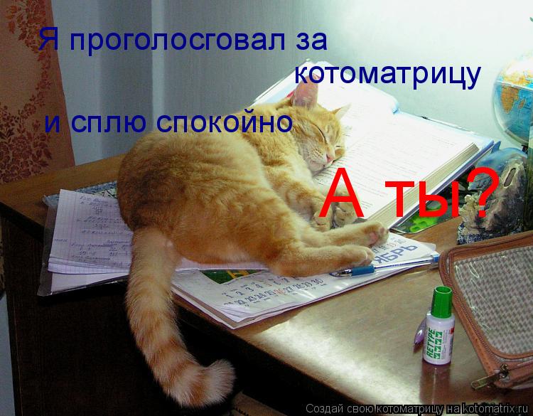 Котоматрица: Я проголосговал за котоматрицу  и сплю спокойно  А ты?