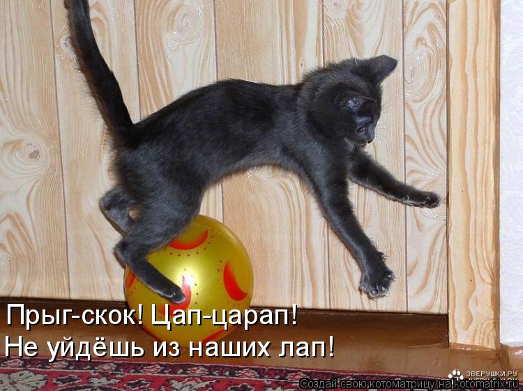 Прыг-скок! Цап-царап! Не уйдёшь из наших лап!... Котоматрица: Прыг-скок! Цап-царап! Не уйдёшь из наших лап!
