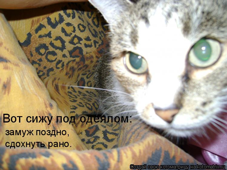 Котоматрица: Вот сижу под одеялом: замуж поздно, сдохнуть рано.