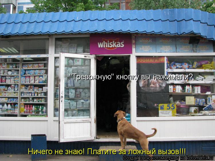 "Тревожную" кнопку вы нажимали? Ничего не знаю! Платите за ложный вызов!!!... Котоматрица: "Тревожную" кнопку вы нажимали? Ничего не знаю! Платите за ложный вызов!!!
