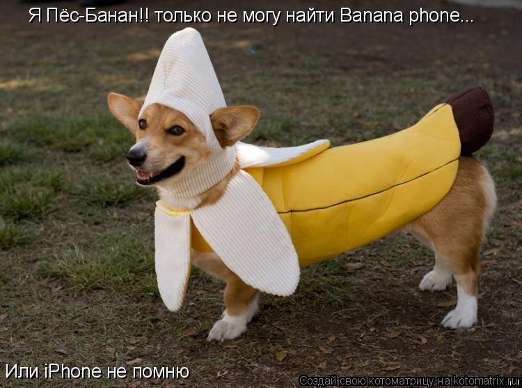 Котоматрица: Я Пёс-Банан!! только не могу найти Banana phone... Или iPhone не помню