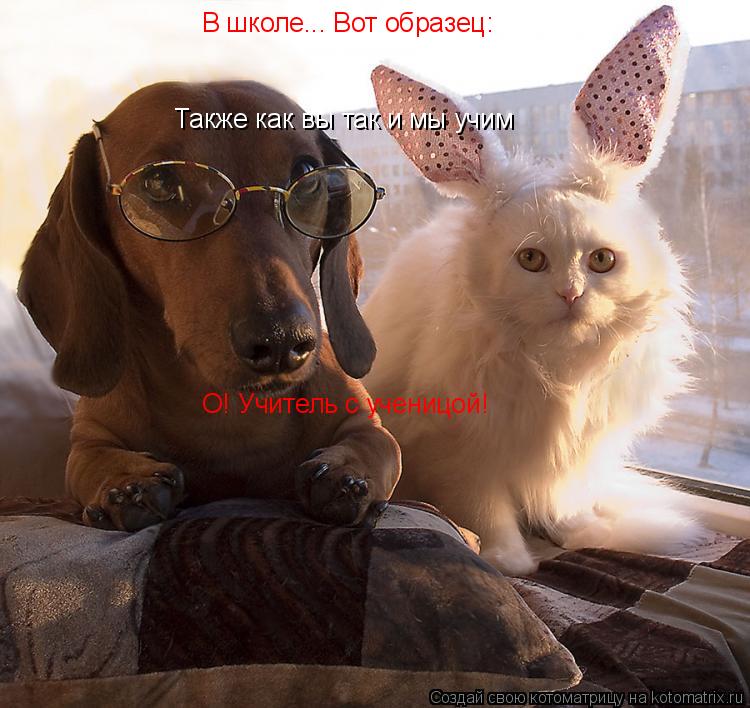 Котоматрица: Также как вы так и мы учим Также как вы так и мы учим В школе... Вот образец: О! Учитель с ученицой!