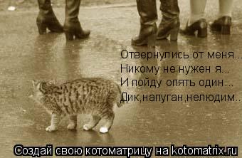 Котоматрица: Отвернулись от меня... Никому не нужен я... И пойду опять один... Дик,напуган,нелюдим...