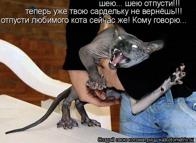 Котоматрица: шею... шею отпусти!!!  теперь уже твою сардельку не вернёшь!!! отпусти любимого кота сейчас же! Кому говорю...