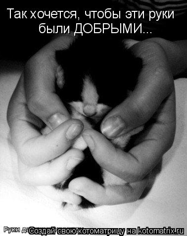 Котоматрица: Так хочется, чтобы эти руки были ДОБРЫМИ...