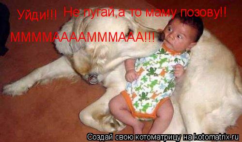Котоматрица: Уйди!!! Не пугай,а то маму позову!! ММММААААМММААА!!!