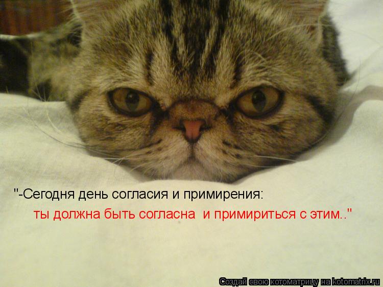 Котоматрица: "-Сегодня день согласия и примирения: ты должна быть согласна  и примириться с этим.." "-Сегодня день согласия и примирения:   ты должна быть со