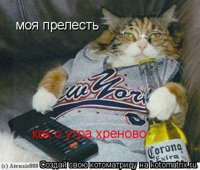 Котоматрица: моя прелесть как с утра хреново