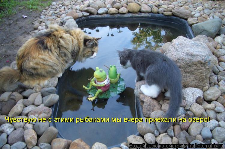 Котоматрица: Чувствую не с этими рыбаками мы вчера приехали на озеро!