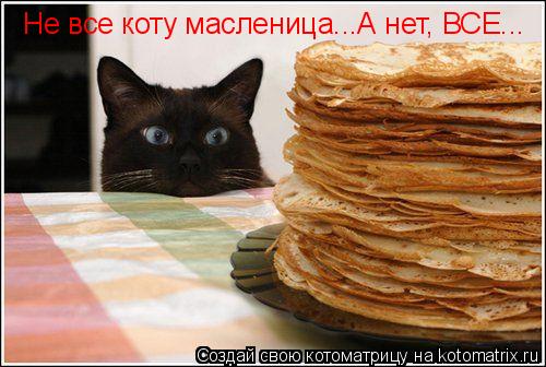 Котоматрица: Не все коту масленица...А нет, ВСЕ...