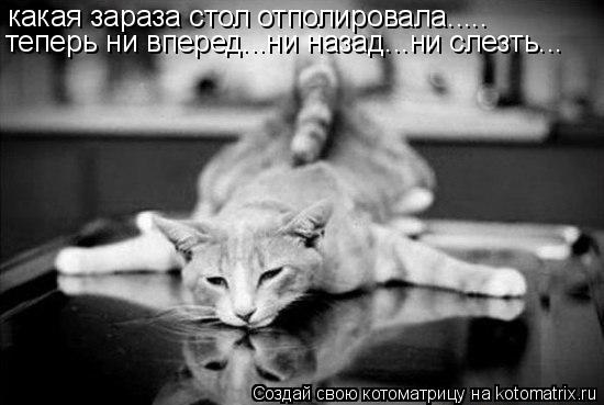 Котоматрица: какая зараза стол отполировала..... теперь ни вперед...ни назад...ни слезть...