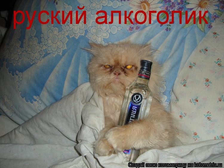 руский алкоголик... Котоматрица: руский алкоголик