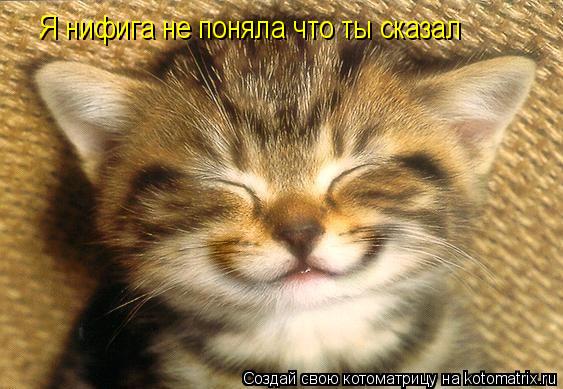 Я нифига не поняла что ты сказал... Котоматрица: Я нифига не поняла что ты сказал