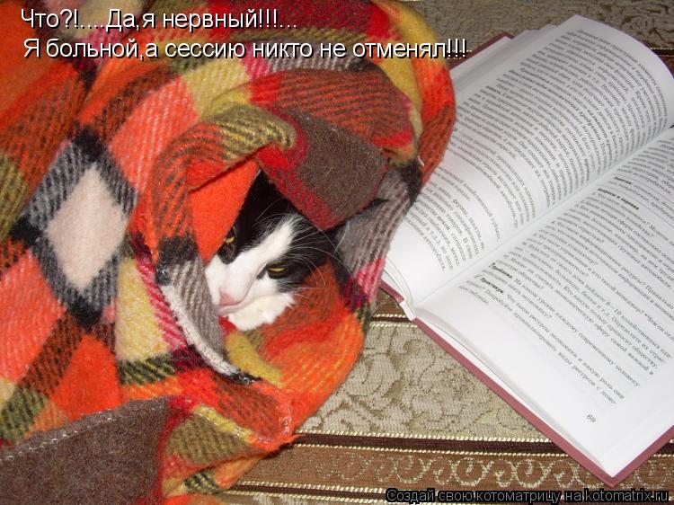 Что?!....Да,я нервный!!!... Я больной,а сессию никто не отменял!!!... Котоматрица: Что?!....Да,я нервный!!!... Я больной,а сессию никто не отменял!!!