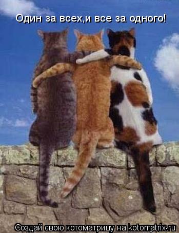 Один за всех,и все за одного!... Котоматрица: Один за всех,и все за одного!