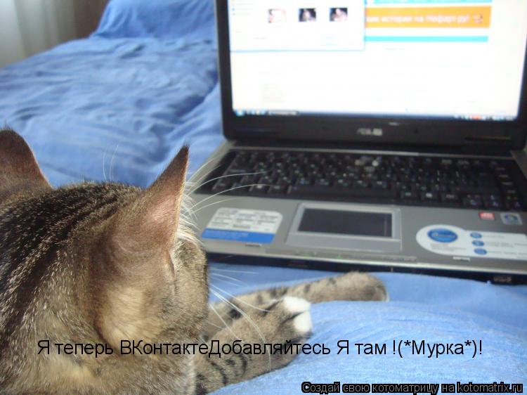 Я теперь ВКонтактеДобавляйтесь Я там !(*Мурка*)!... Котоматрица: Я теперь ВКонтактеДобавляйтесь Я там !(*Мурка*)!