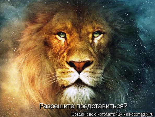 Котоматрица: Разрешите представиться?
