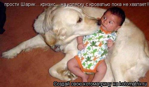 прости Шарик....кризис....на коляску с кроватью пока не хватает!!!... Котоматрица: прости Шарик....кризис....на коляску с кроватью пока не хватает!!!