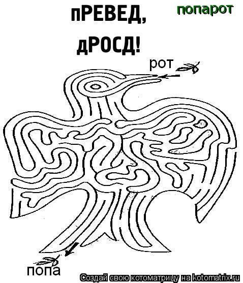 попарот... Котоматрица: попарот