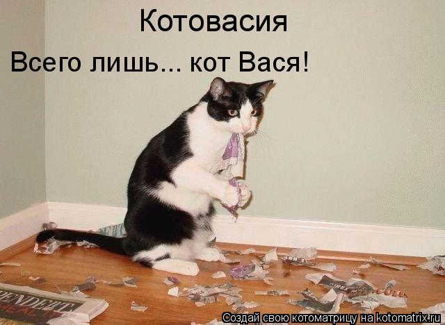 Котоматрица: Котовасия Всего лишь... кот Вася!
