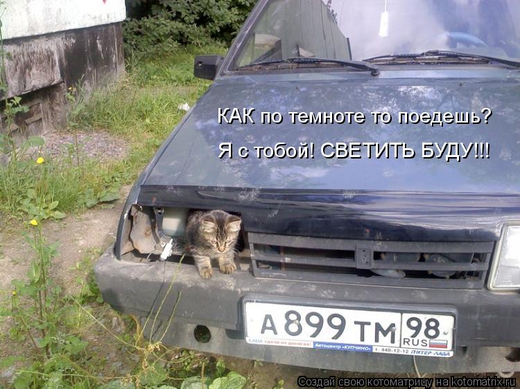 Котоматрица: КАК по темноте то поедешь? Я с тобой! СВЕТИТЬ БУДУ!!!