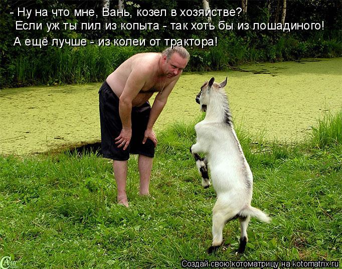 Котоматрица: - Ну на что мне, Вань, козел в хозяйстве? Если уж ты пил из копыта - так хоть бы из лошадиного! А ещё лучше - из колеи от трактора!