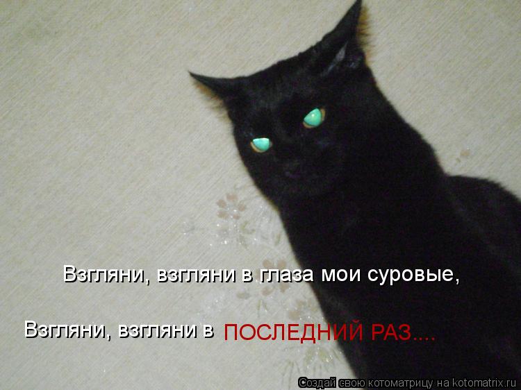 Котоматрица: Взгляни, взгляни в глаза мои суровые, Взгляни, взгляни в Взгляни, взгляни в ПОСЛЕДНИЙ РАЗ....