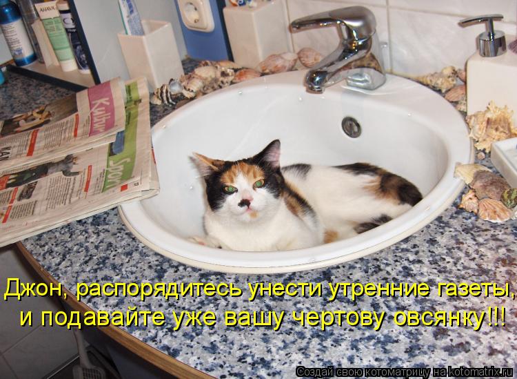 Котоматрица: и подавайте уже вашу чертову овсянку!!! Джон, распорядитесь унести утренние газеты,