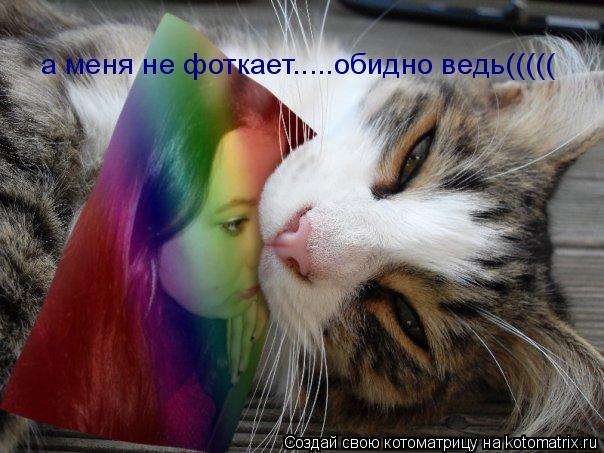 Котоматрица: а меня не фоткает.....обидно ведь(((((