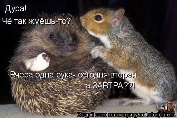 Котоматрица: Чё так жмёшь-то?! -Дура! Вчера одна рука- сегодня вторая а ЗАВТРА??!