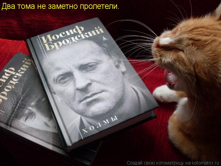 Котоматрица: Два тома не заметно пролетели.
