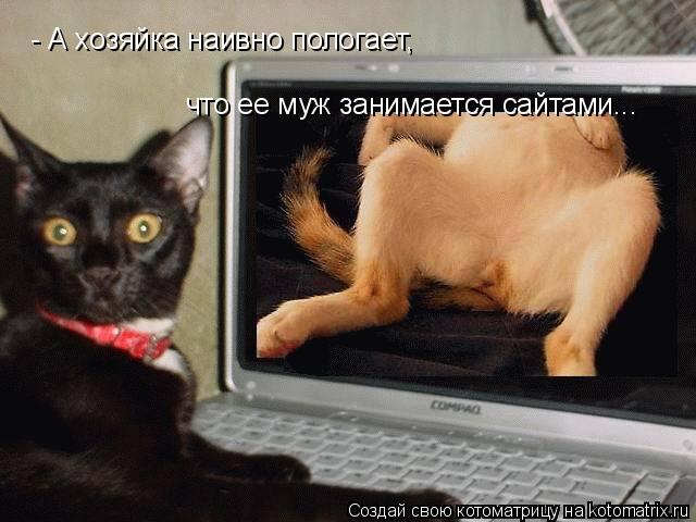 Котоматрица: - А хозяйка наивно пологает, что ее муж занимается сайтами...