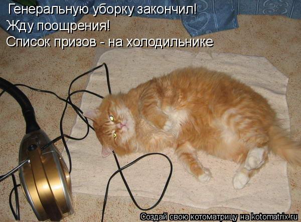 Генеральную уборку закончил! Жду поощрения! Список призов - на холодильнике... Котоматрица: Генеральную уборку закончил! Жду поощрения! Список призов - на холодильнике