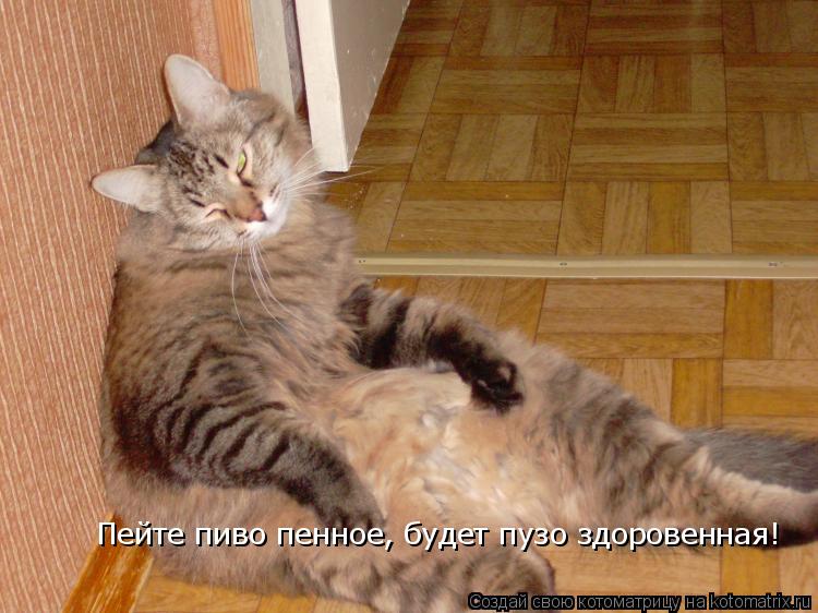 Котоматрица: Пейте пиво пенное, будет пузо здоровенная!