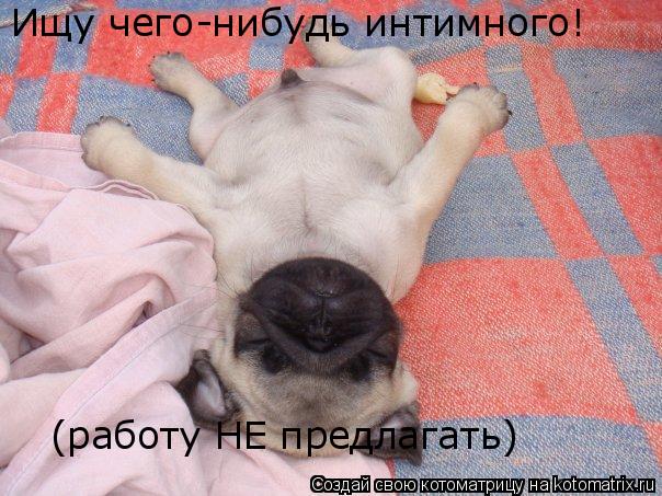 Котоматрица: Ищу чего-нибудь интимного! (работу НЕ предлагать)