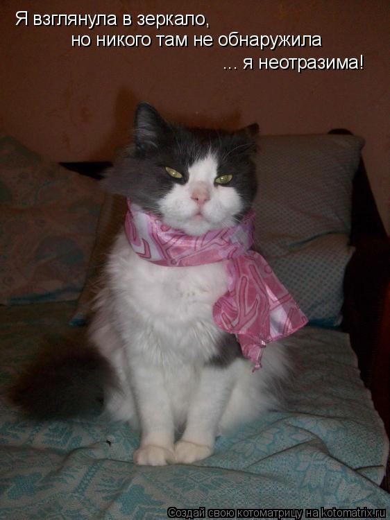 Котоматрица: Я взглянула в зеркало, но никого там не обнаружила  ... я неотразима!