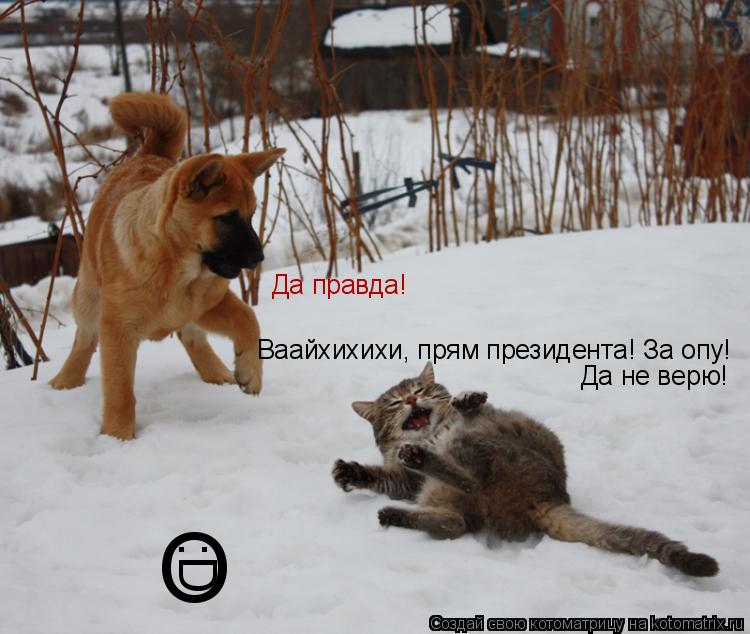 Котоматрица: Да правда! Ваайхихихи, прям президента! За опу! Да не верю!  :D O
