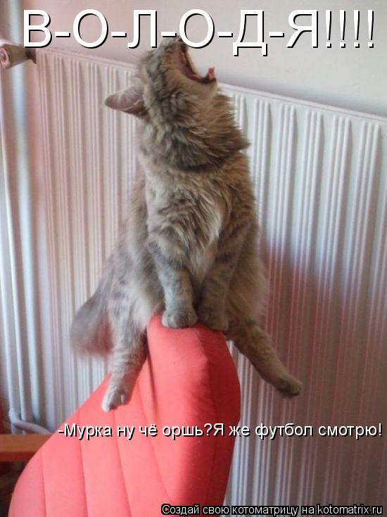 Котоматрица: В-О-Л-О-Д-Я!!!! -Мурка ну чё оршь?Я же футбол смотрю!