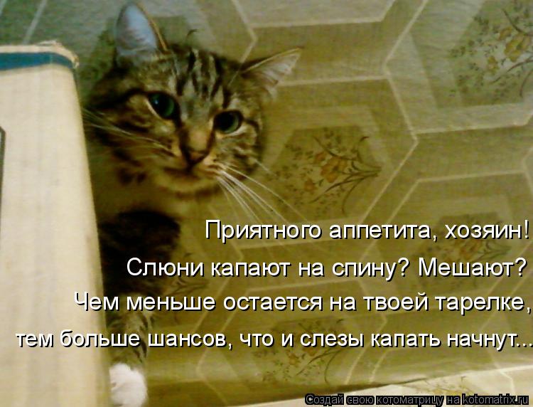 Котоматрица: Слюни капают на спину? Мешают? Чем меньше остается на твоей тарелке, тем больше шансов, что и слезы капать начнут... Приятного аппетита, хозяи