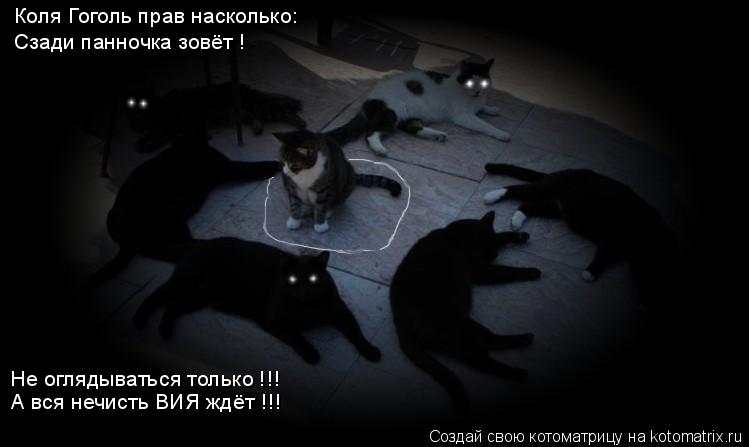 Коля Гоголь прав насколько: Сзади панночка зовёт ! Не оглядываться только !!! А вся нечисть ВИЯ ждёт ... Котоматрица: Коля Гоголь прав насколько: Сзади панночка зовёт ! Не оглядываться только !!! А вся нечисть ВИЯ ждёт !!!