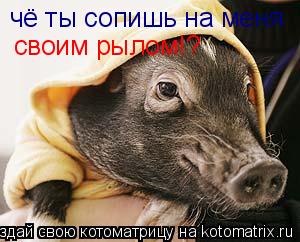 чё ты сопишь на меня своим рылом!?... Котоматрица: чё ты сопишь на меня своим рылом!?